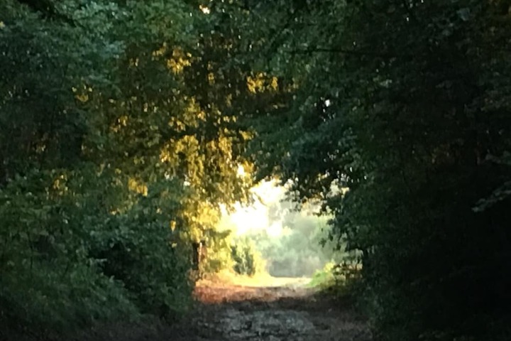 Outdoor Activities 54 of 97