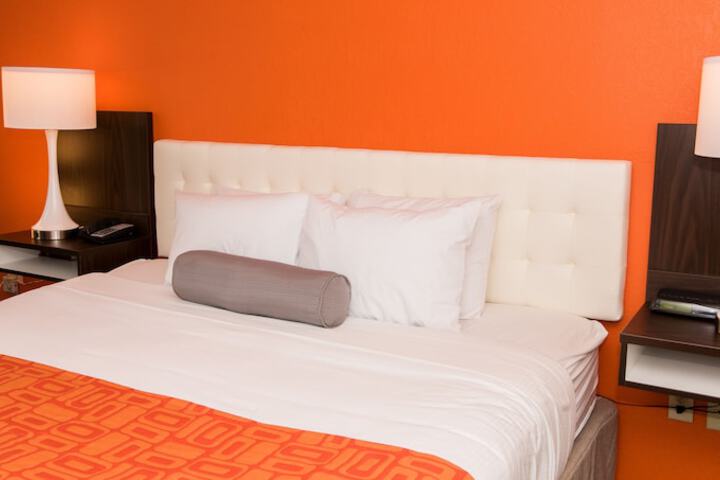 1 King Bed (7 of 9)