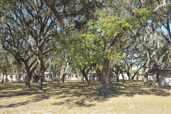 Property Grounds 17 of 25