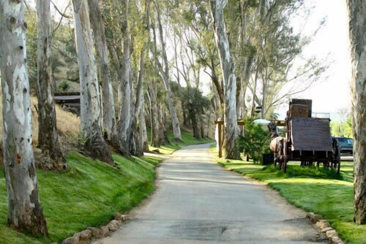 Property Grounds 82 of 126