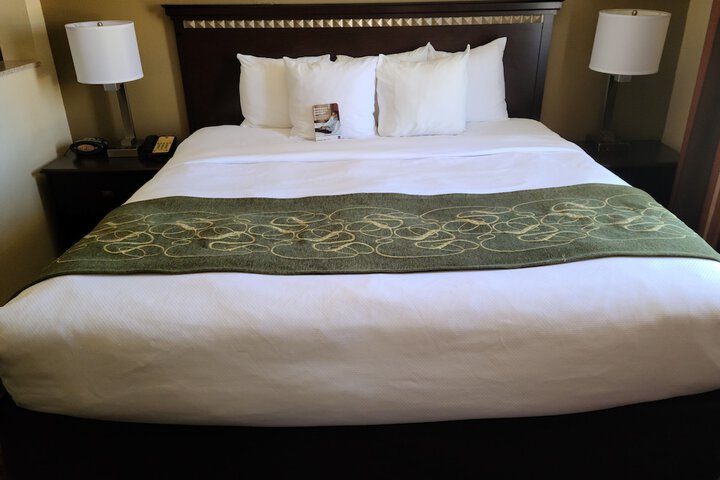 Suite 1 King Bed (1 of 19)
