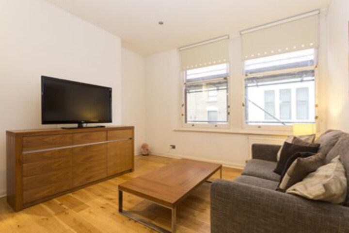 Image of Spacious Flat in Central London