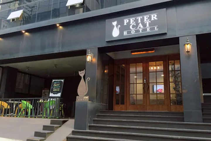Petercat Hotel Sinchon Hongdae