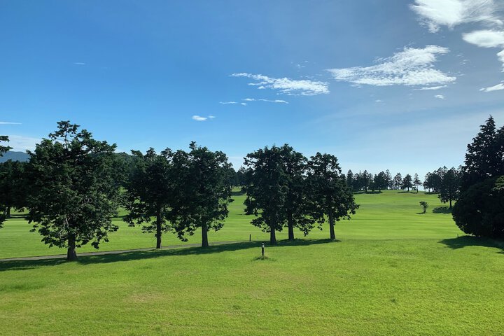 View from room