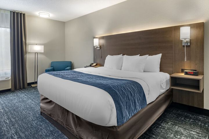 1 King Bed Pet Friendly (7 of 13)