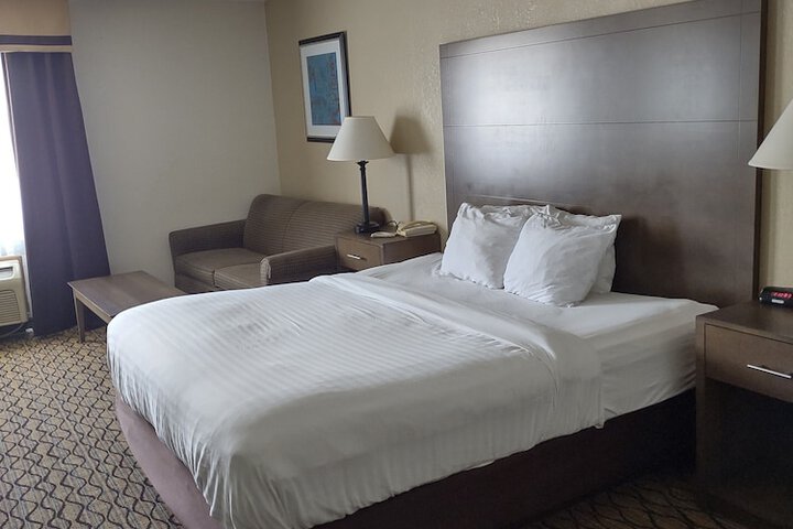 1 King Bed (5 of 14)