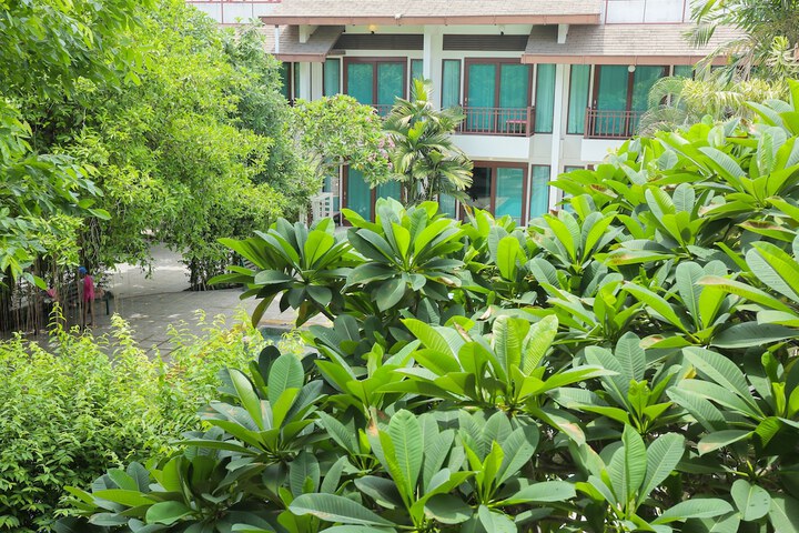 Hotel Exterior 50 of 51