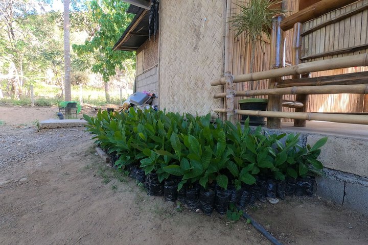 Hotel Exterior 48 of 63