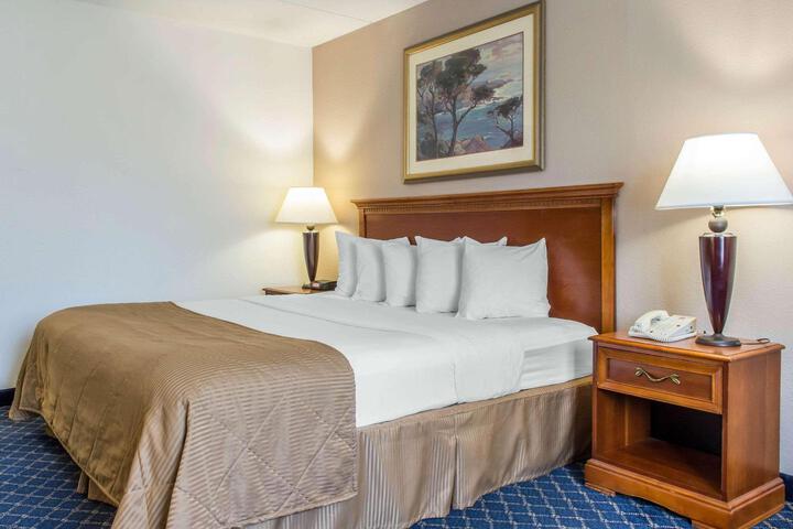 1 King Bed (5 of 9)
