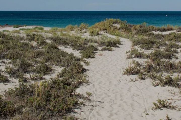 Beach 5 of 20