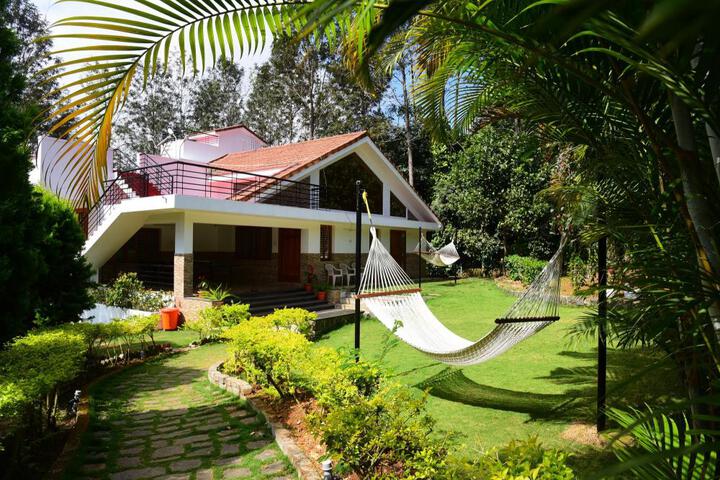 Wow Bungalow