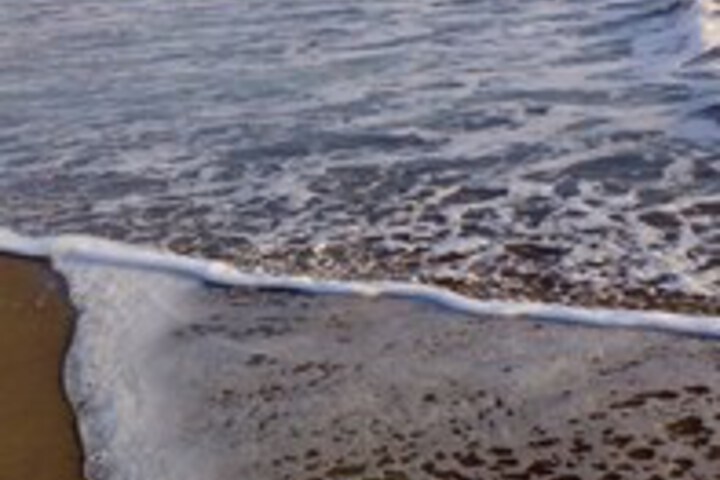 Beach 7 of 50