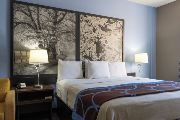 1 King Bed (3 of 33)