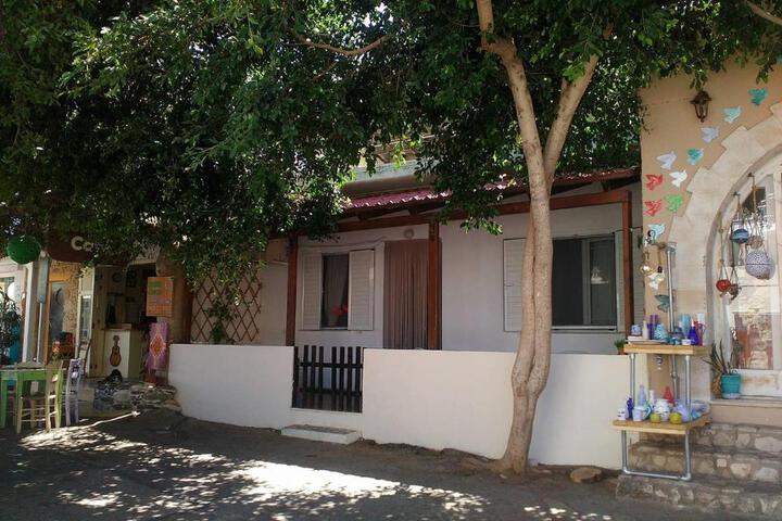 General 7 of 22