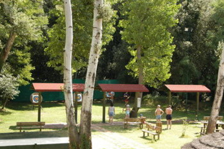 Outdoor Activities 4 of 51