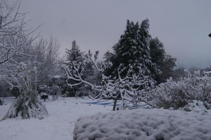 General 26 of 39