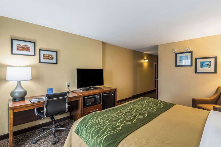 Standard | King Bed (11 of 13)