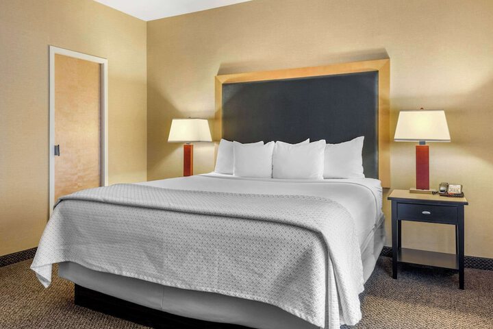 2 King Beds (7 of 30)
