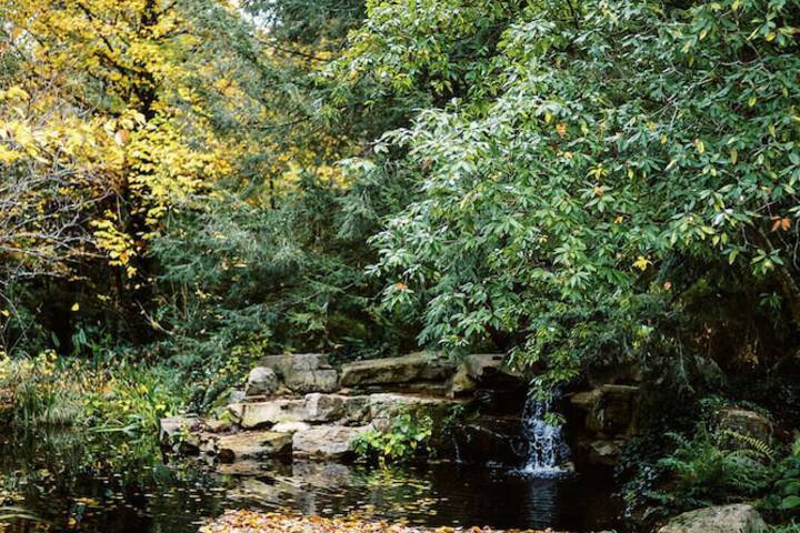 Property Grounds 18 of 21