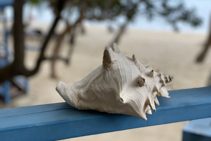 Beach 214 of 223