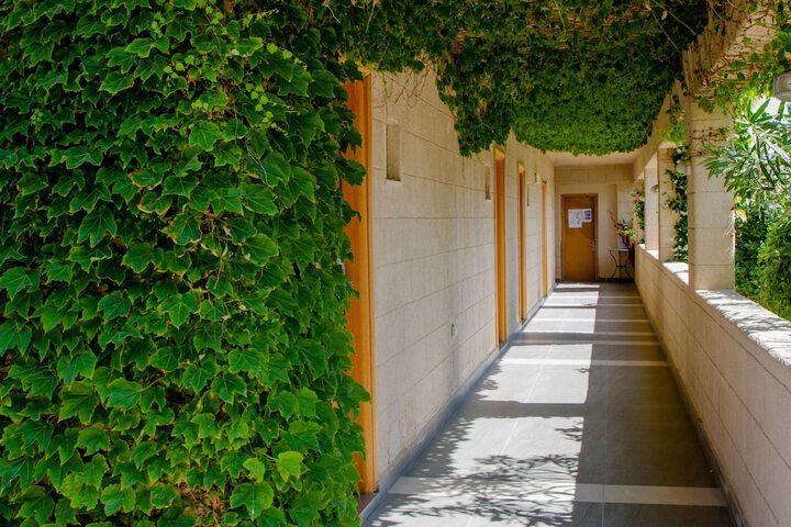 Property Grounds 53 of 56