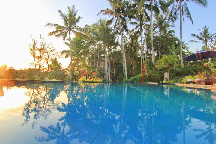 Hotel Pool