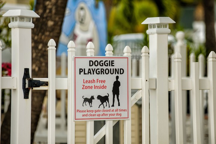 Pet-friendly