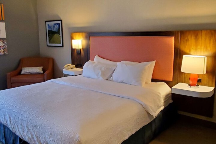 Deluxe King Bed (2 of 17)
