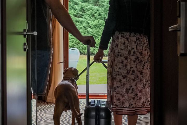 Pet Friendly 40 of 61