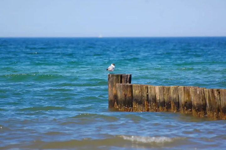 Beach 13 of 20