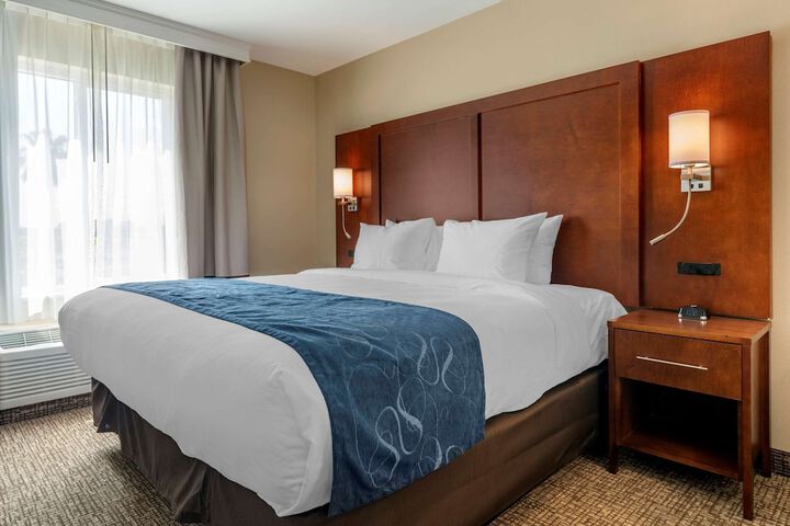 1 King Bed Suite (4 of 11)