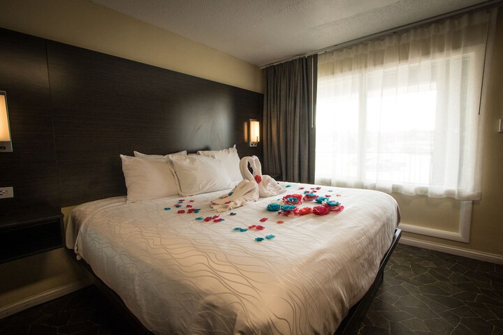 1 King Bed Pet Friendly Accessible (48 of 90)