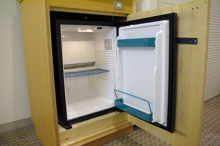 Mini-refrigerator