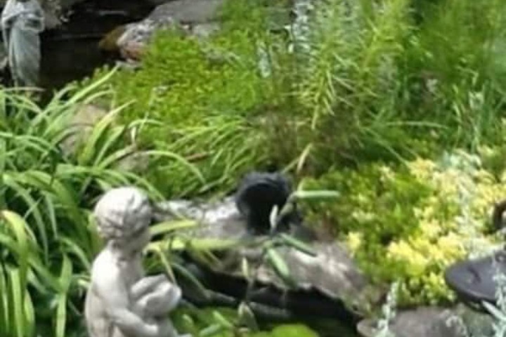 Fountain