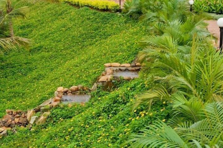 Garden view