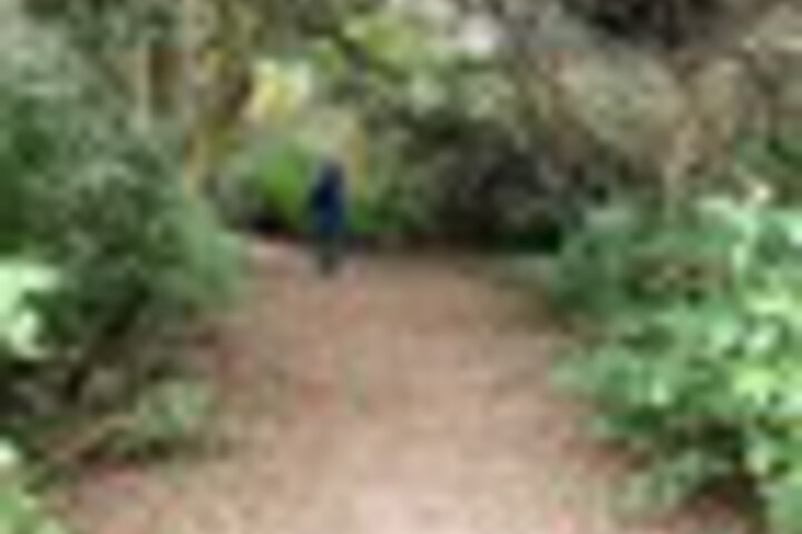 Outdoor Activities 170 of 267