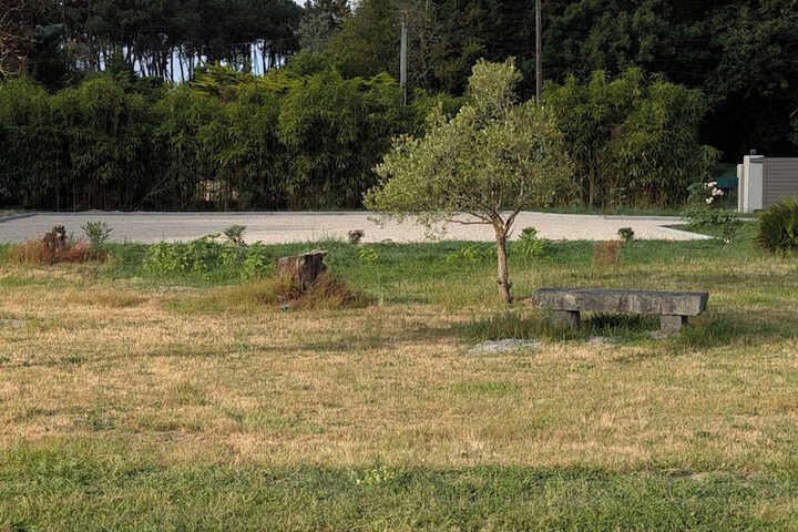 Property Grounds 19 of 23