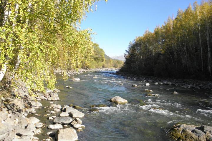 Photo 29