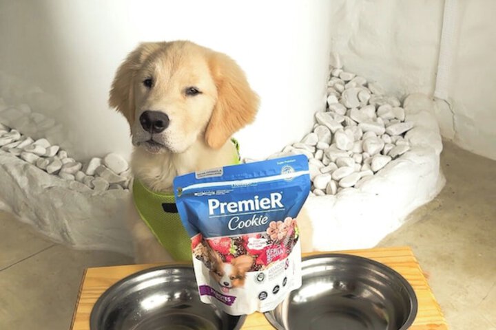 Pet Friendly 95 of 112