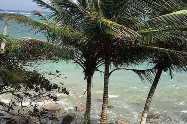 Beach 54 of 65