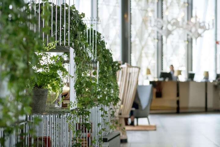 Lobby Entry