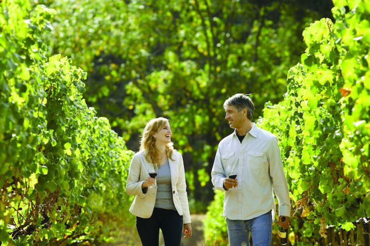 Vineyard