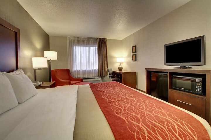 Standard with 1 King Bed (13 of 14)