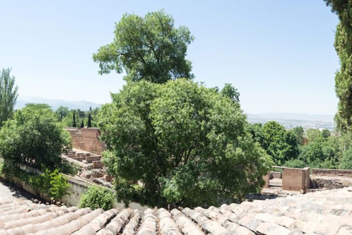 View from room