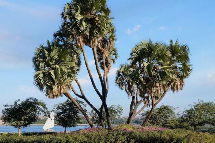 Photo of MGM Wellness Retreat