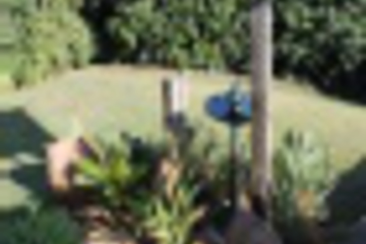 Hotel Exterior 3 of 168