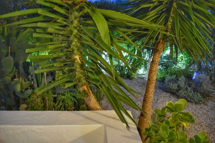 Terrace/Patio 44 of 44