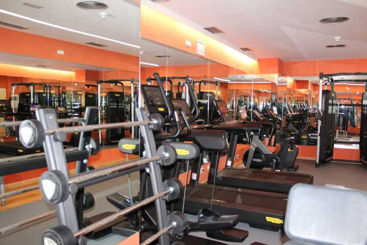 Health and Fitness 17 of 53