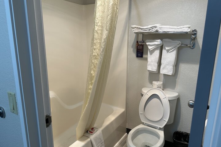 1 King Bed Mobility Accessible Bathtub with Grab Bars (16 of 23)