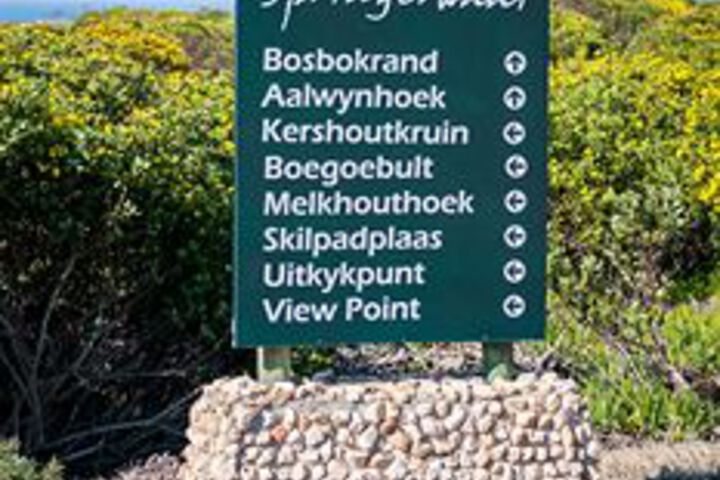 Property Grounds 25 of 28